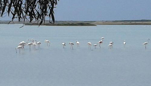 Agriturismo la Mimosa - Foto 4, Other