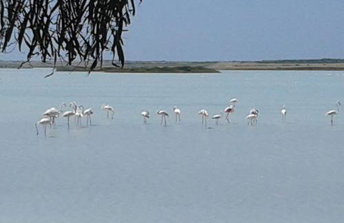 Agriturismo la Mimosa - Foto 4