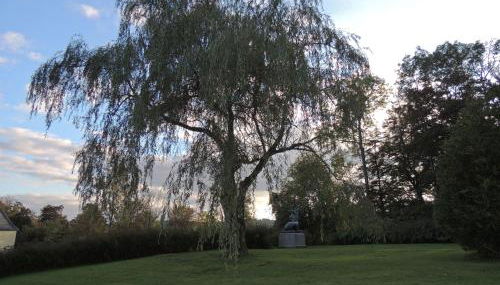 Schloß Wittgenstein - Foto 3