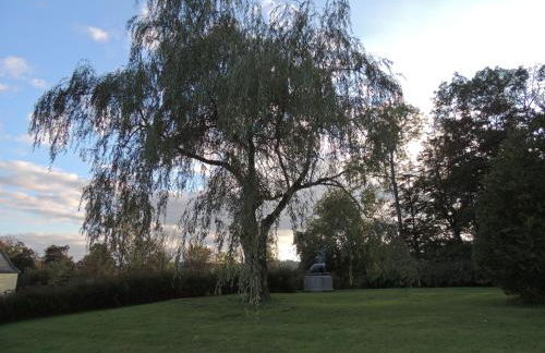 Schloß Wittgenstein - Foto 3