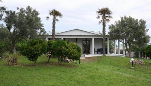 Blue Horizon - Foto 5, Garden, Garden view