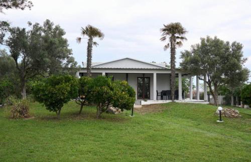 Blue Horizon - Foto 5