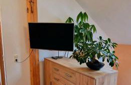 Privatwohnung Rybczynski - Foto 31