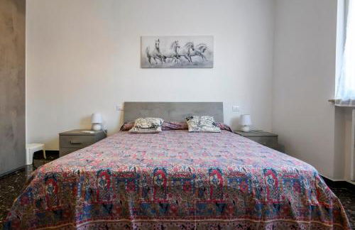 Chiwi's Home 2 - Photo 2