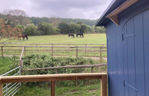 Pet Friendly - 2 Guests - Original Roadsmans Wagon - Foto 2