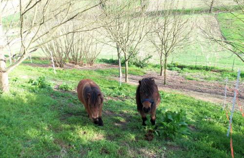 Casa dei Ciliegi Castell'Alfero - Foto 41