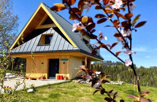 Domek Tatry - Stacja Wierchowa 972 m - Foto 15