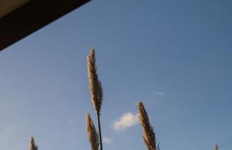 Casa Aalto - Architectural Cliffside Ocean Retreat - Foto 42