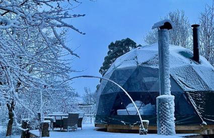 Woodland dome - Foto 13