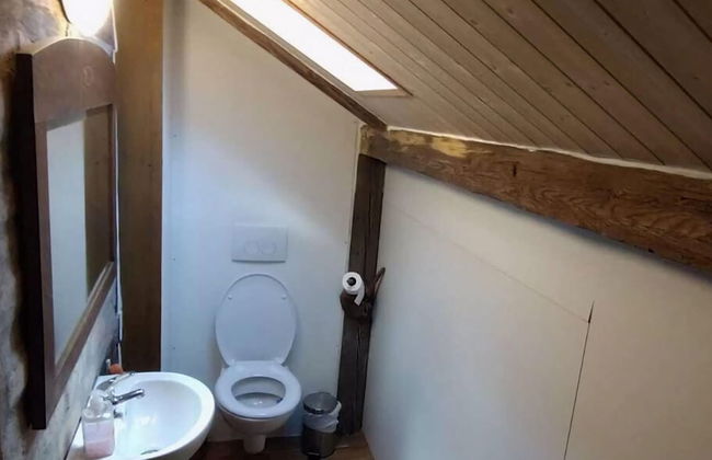 Chalet in Ore Mountains Near Ski Slopes - Foto 11