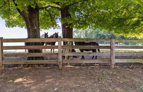 Cozy Farmhouse near Mammoth Cave on 45 acre farm - Foto 12