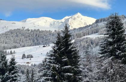 Appartement Hameau des Pistes - Ski-in and Ski-out - Photo 22