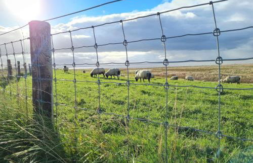 Watt'n Fisch Ferienhaus Sehestedt - Foto 24