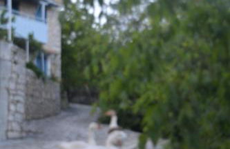 Petrinο Katochori - Foto 62