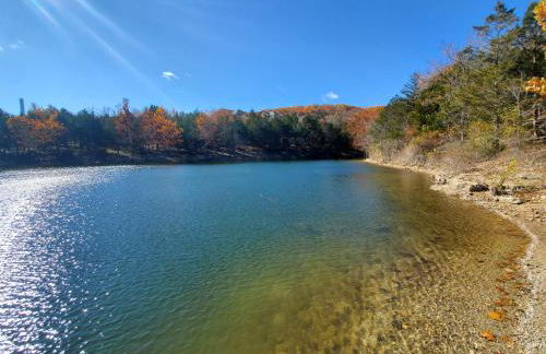 Treehouse Condos - Branson - Foto 25