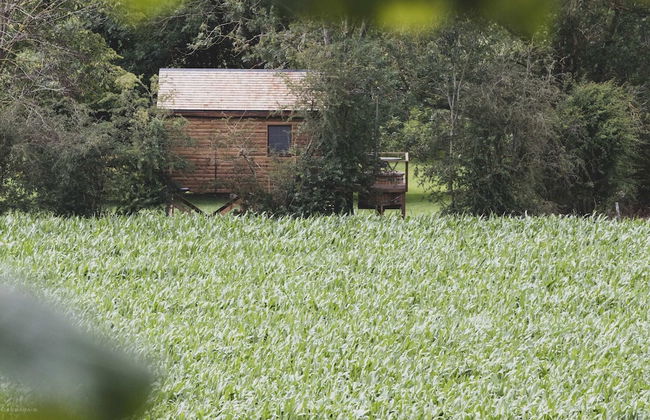 Romantic Woodland Chalet - Photo 33