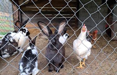 Guest house Emanuela - Foto 48