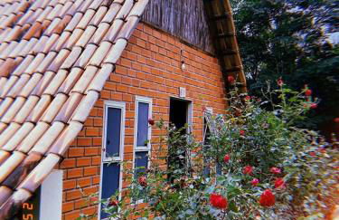 Pousada Vereda das Aguas - Foto 4