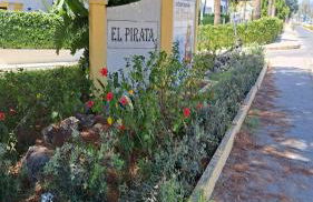 Hello Cosmo - Photo 41