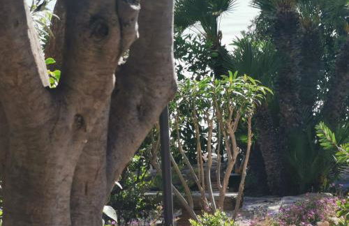 Giardino sul Mare - Foto 16