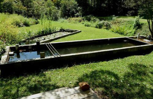 Nantahala Spiritual Retreat - Remote and Peaceful! - Foto 7