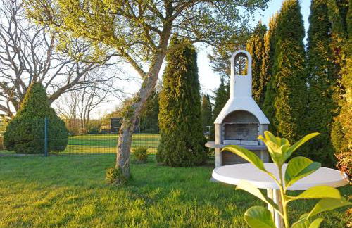 Fischreiher 1 - Foto 15