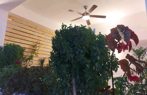 Villa DORIANA IN PELEKOUDA - Foto 8