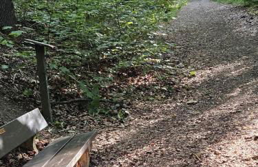 Ferienoase Weitblick - Foto 33