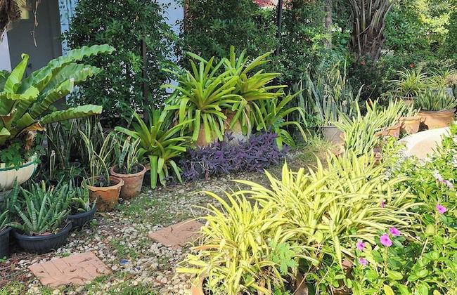 Rung Rueng Resort - Foto 32