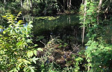 Modrzewiowy Zakątek z balią - Foto 30