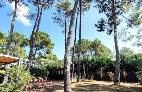 Villa rénovée avec jardin, terrasse, clim et WiFi à Lège-Cap-Ferret - FR-1-736-43 - Photo 13