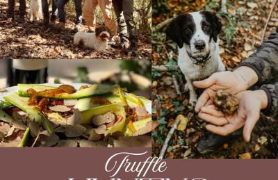 Villa Fiorenzani - Foto 74