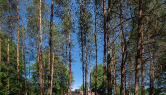 Dom na Podlasiu - Foto 4