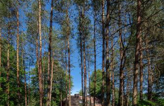 Dom na Podlasiu - Foto 4