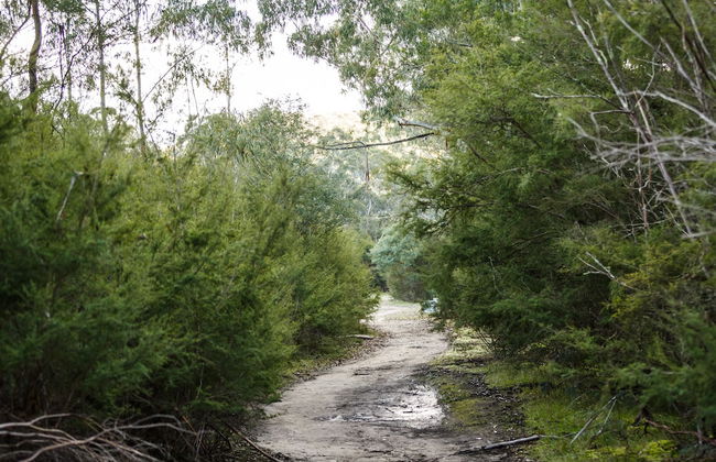 Yering Gorge Cottages - Foto 30