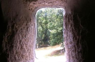 Eira das Carvalhas - Photo 9