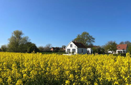 Historisches Inselhäuschen - Surfer/Kiter/Familien - Foto 26