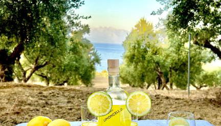 Elaias Thea Sea View Home - Foto 3, Garden view