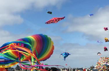 Ferienwohnung Suederbootfahrt - Ruheoase für Naturliebhaber in Katingsiel zwischen Tönning und St Peter Ording perfekt für Radtouren - Foto 40