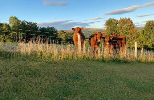 Westertonhill Lodge - 3 Double Bedrooms Sleeps 8 With Private Hot Tub Hire Available - Foto 25