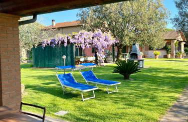 Agriturismo Valdo - Foto 10