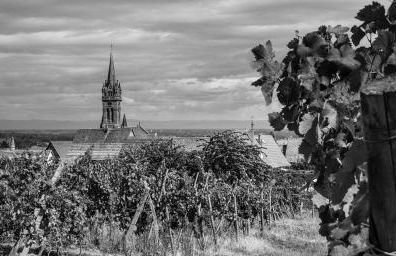 Le p'tit coin de chez nous - Foto 69