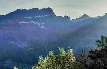 Carlina Canfranc - Foto 52