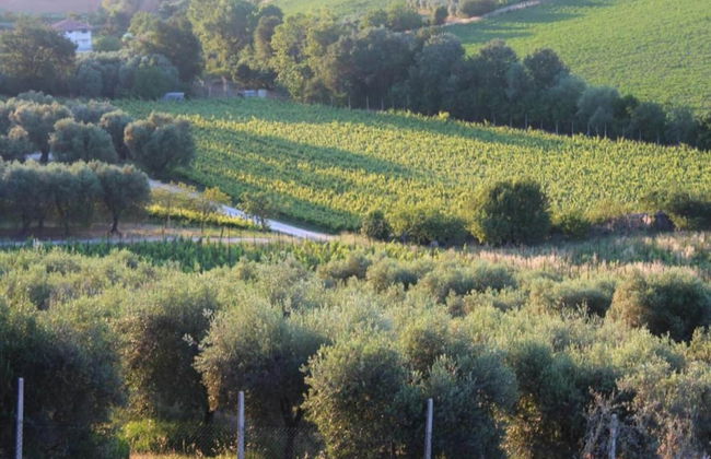 Bright Apartment in a Farmhouse With Swimming Pool - Foto 39