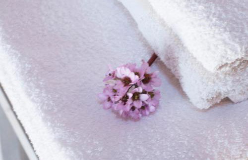 O Chardinet d'a Formiga - Foto 63