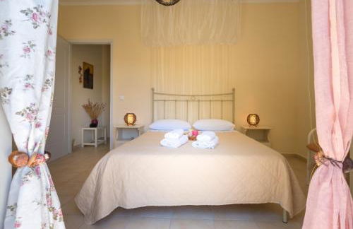 Avelia Pink - Photo 5