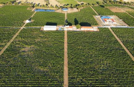 Herdade das Castas Nobres - Foto 125