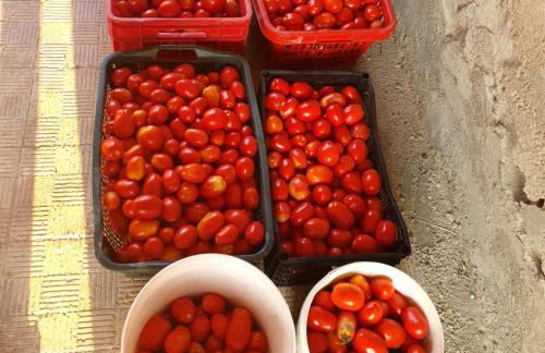 Masseria Marotta - Foto 32