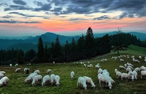 Willa Jagoda duży domek w górach 12-15 osób,jacuzzi, kominek,bilard - Foto 39