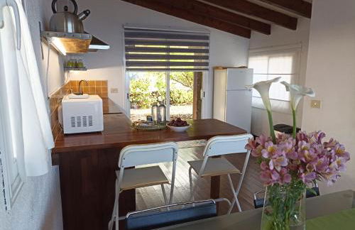 Dos Violetas - Foto 12